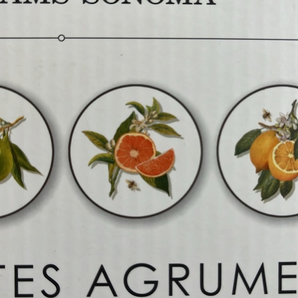 4-WILLIAMS SONOMA Citrus FRUIT BEES Salad Plates LEMONS LIME GRAPFRUIT ORANGE 9" - Picture 11 of 11